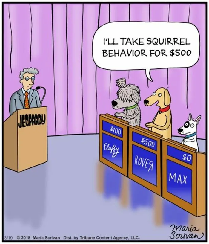 This Cartoonist Turns Everyday Dog Behavior Into Hilarious Comics (42 Pics)