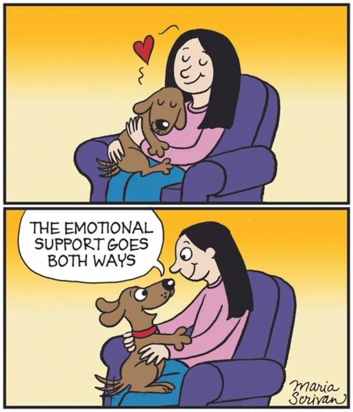 This Cartoonist Turns Everyday Dog Behavior Into Hilarious Comics (42 Pics)