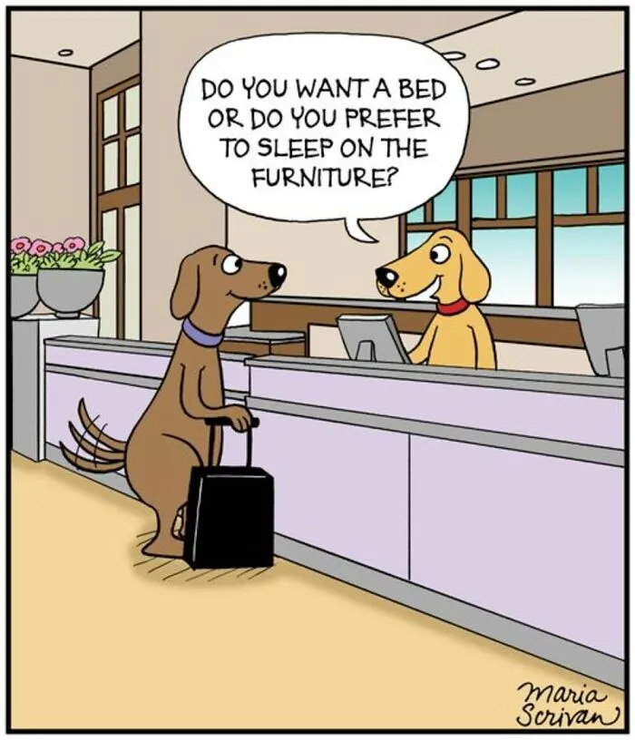 This Cartoonist Turns Everyday Dog Behavior Into Hilarious Comics (42 Pics)