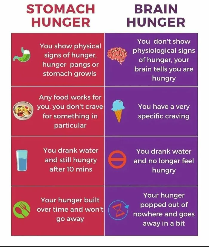 52 Clever Visual Guides That Make You Feel Smarter In Minutes