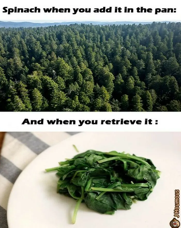 75 Funny Memes To Send To Your Non-Vegan Friends