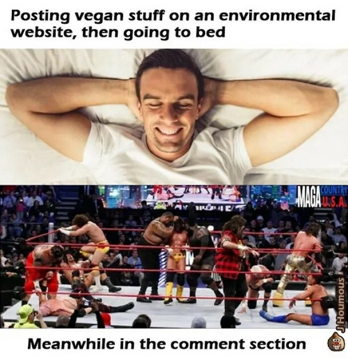 75 Funny Memes To Send To Your Non-Vegan Friends