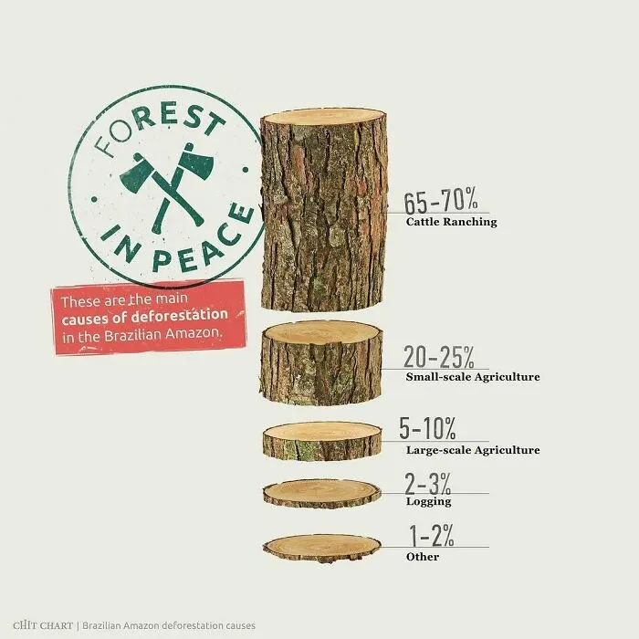 52 Clever Visual Guides That Make You Feel Smarter In Minutes