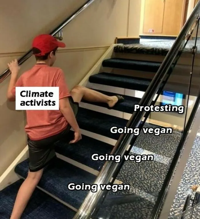75 Funny Memes To Send To Your Non-Vegan Friends