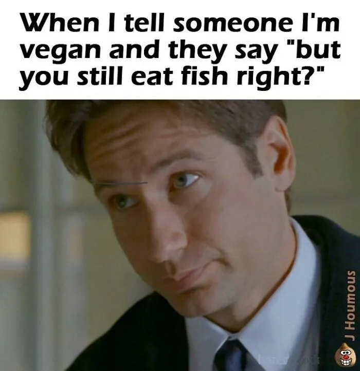 75 Funny Memes To Send To Your Non-Vegan Friends