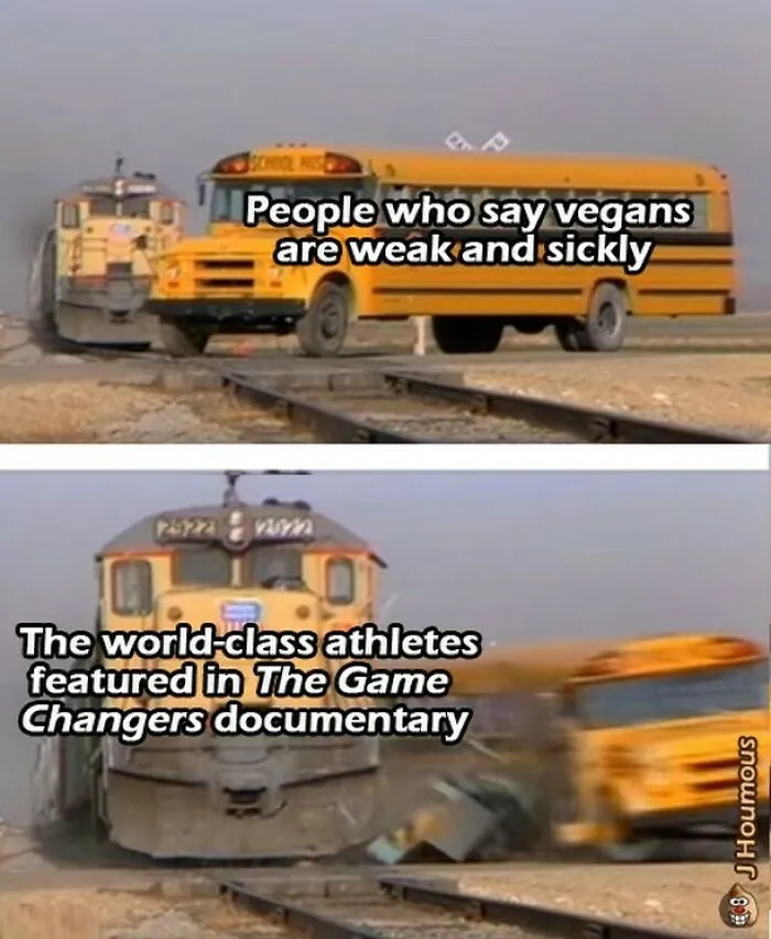 75 Funny Memes To Send To Your Non-Vegan Friends