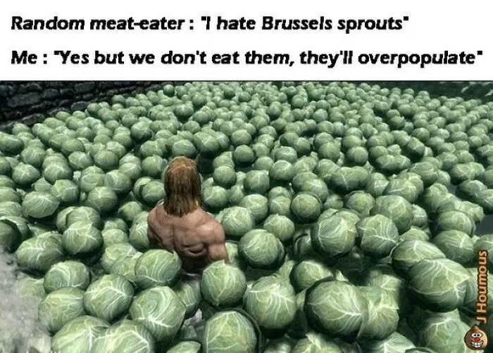 75 Funny Memes To Send To Your Non-Vegan Friends