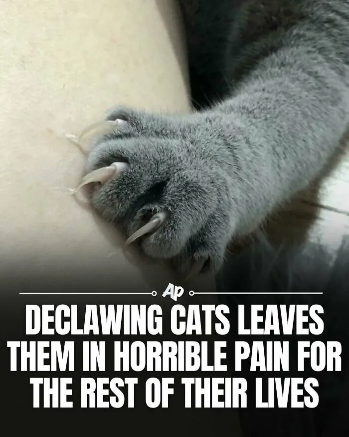 63 Incredible Facts About Animals That May Make You Appreciate Nature More