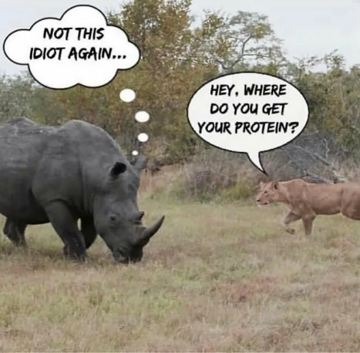 75 Funny Memes To Send To Your Non-Vegan Friends