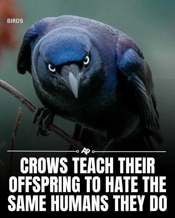 63 Incredible Facts About Animals That May Make You Appreciate Nature More
