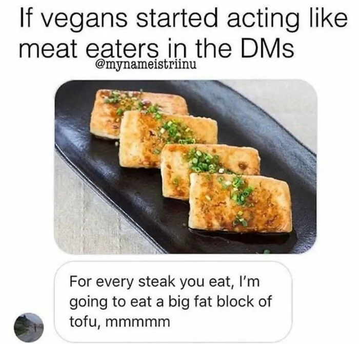 75 Funny Memes To Send To Your Non-Vegan Friends