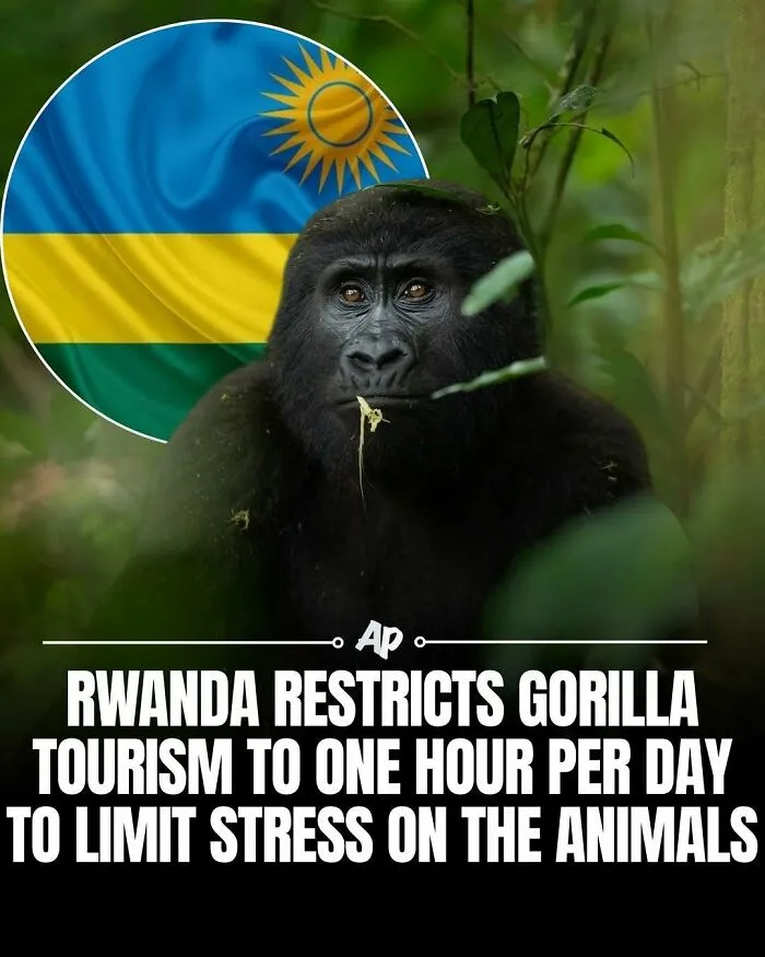 63 Incredible Facts About Animals That May Make You Appreciate Nature More