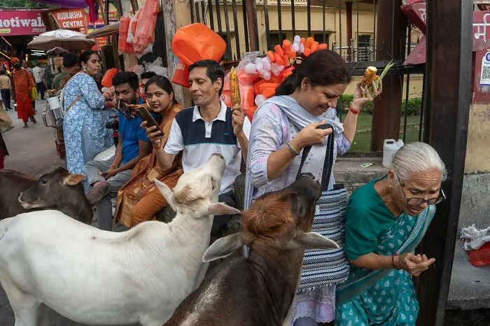Rishikesh, India