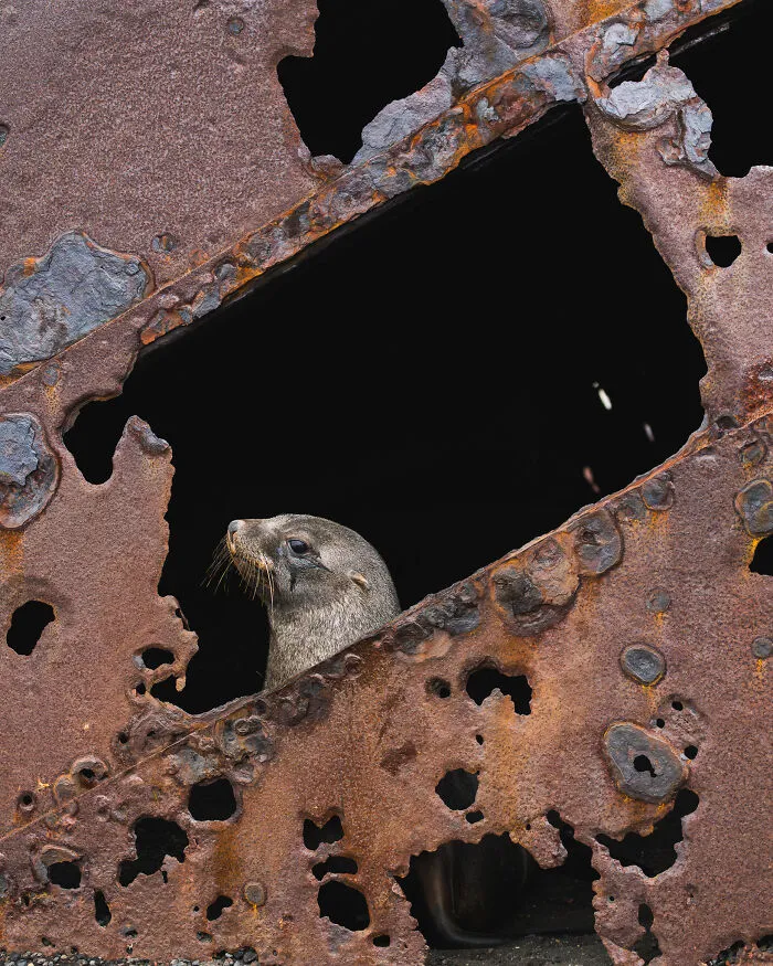 This Photographer Captured 42 Dreamlike Images Of Antarctica