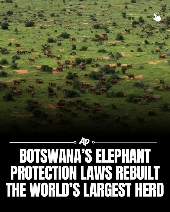 63 Incredible Facts About Animals That May Make You Appreciate Nature More
