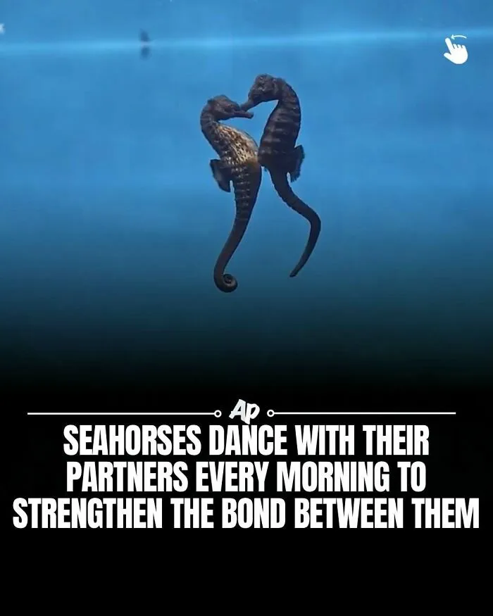63 Incredible Facts About Animals That May Make You Appreciate Nature More