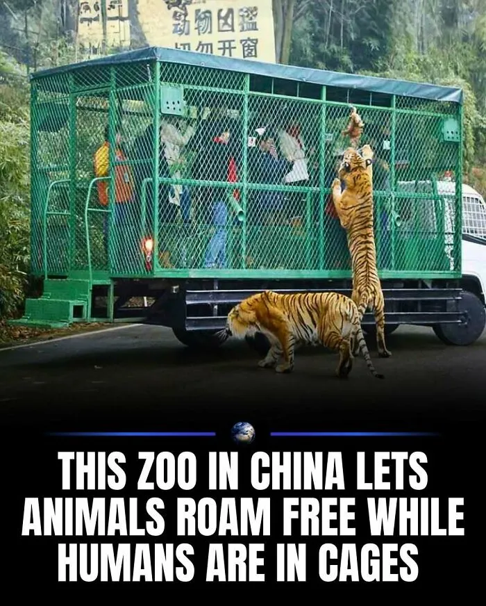 97 Amazing Facts About Our World To Keep You Busy For A Few Minutes