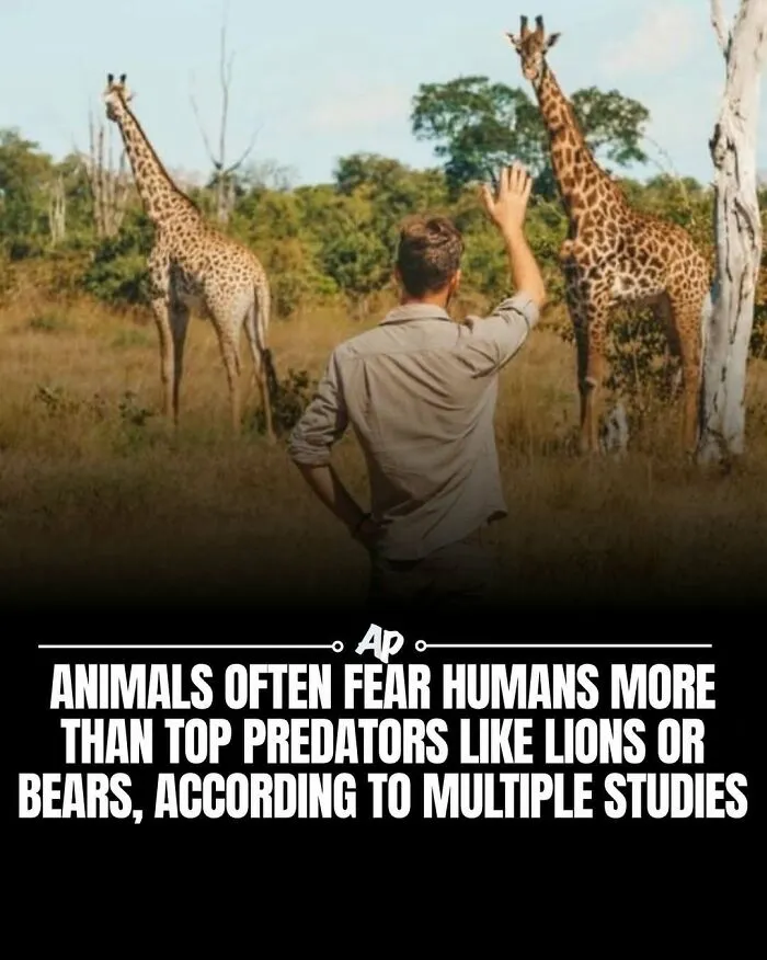 63 Incredible Facts About Animals That May Make You Appreciate Nature More