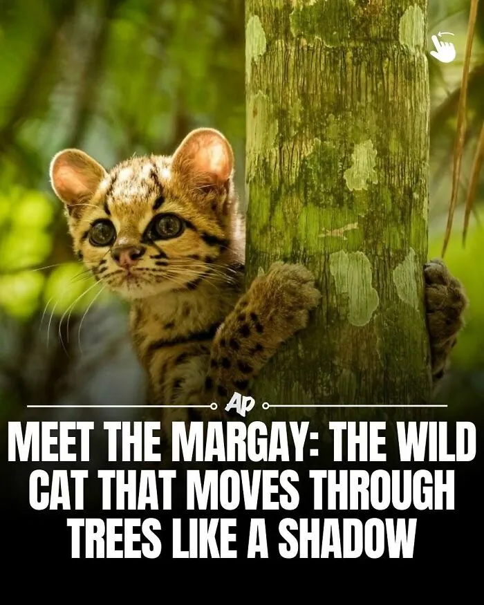 63 Incredible Facts About Animals That May Make You Appreciate Nature More