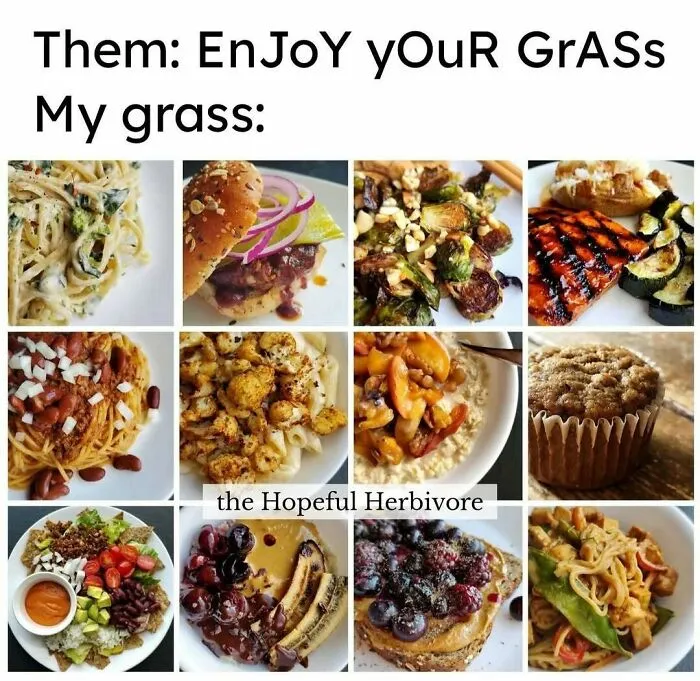 75 Funny Memes To Send To Your Non-Vegan Friends