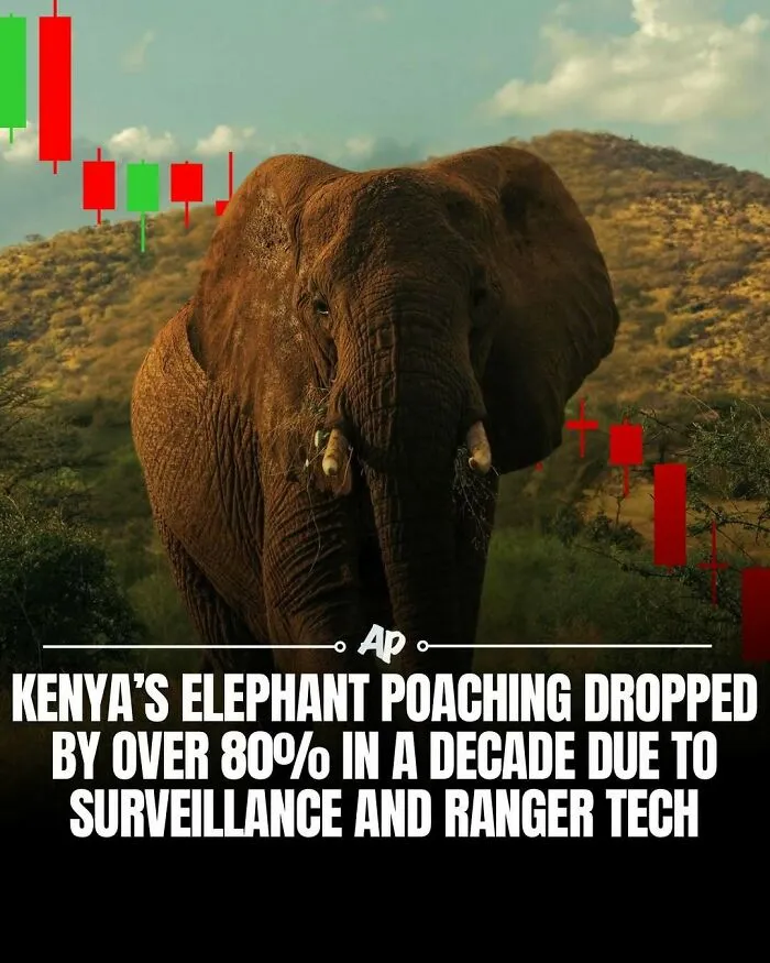 63 Incredible Facts About Animals That May Make You Appreciate Nature More