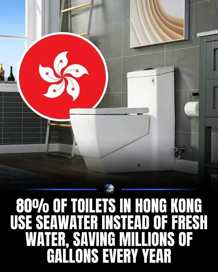 97 Amazing Facts About Our World To Keep You Busy For A Few Minutes