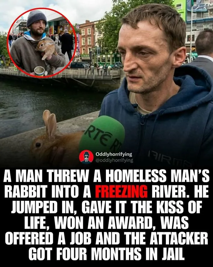 40 Unsettling True Stories From "Oddly Horrifying" That Show How Dark The Real World Can Be (New Pics)