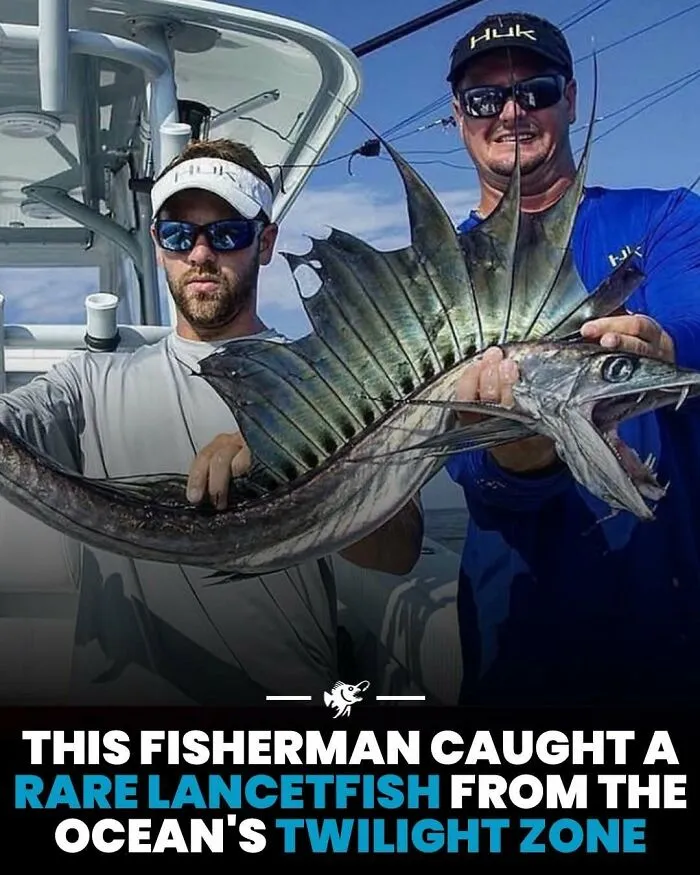 Fisherman holding a rare lancetfish caught from the ocean's twilight zone