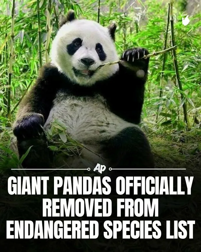63 Incredible Facts About Animals That May Make You Appreciate Nature More