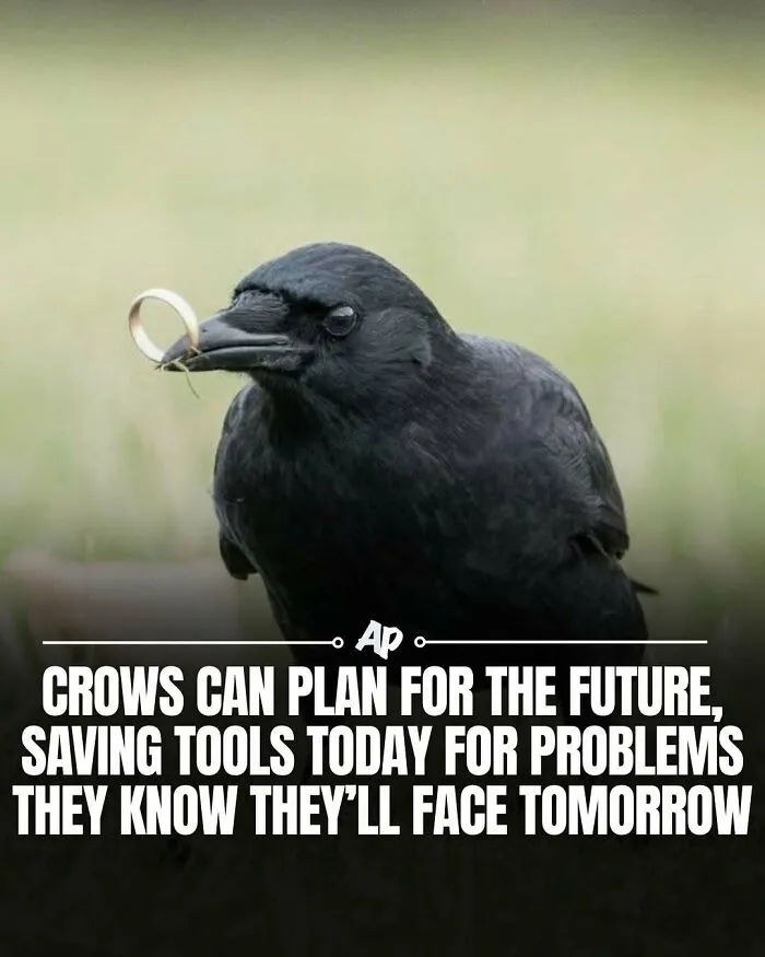 63 Incredible Facts About Animals That May Make You Appreciate Nature More