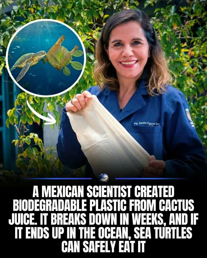 97 Amazing Facts About Our World To Keep You Busy For A Few Minutes