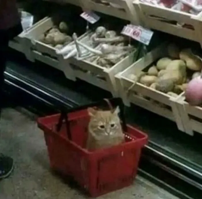 73 Cursed Images From This Weird Corner Of The Internet (New Pics)