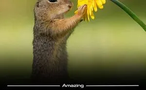111 Wholesome Facts And Stories That Might Just Blow Your Mind