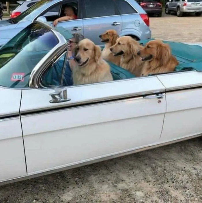 73 Cursed Images From This Weird Corner Of The Internet (New Pics)