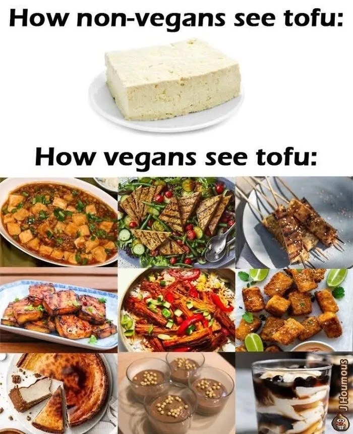 75 Funny Memes To Send To Your Non-Vegan Friends