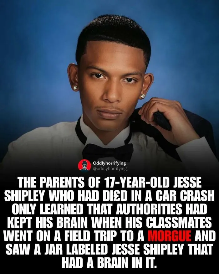 40 Unsettling True Stories From "Oddly Horrifying" That Show How Dark The Real World Can Be (New Pics)