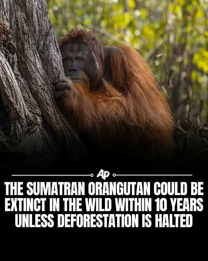 63 Incredible Facts About Animals That May Make You Appreciate Nature More