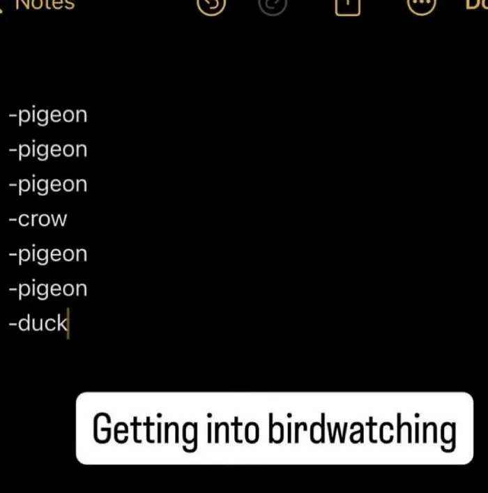 Screenshot list of bird species with caption about getting into birdwatching