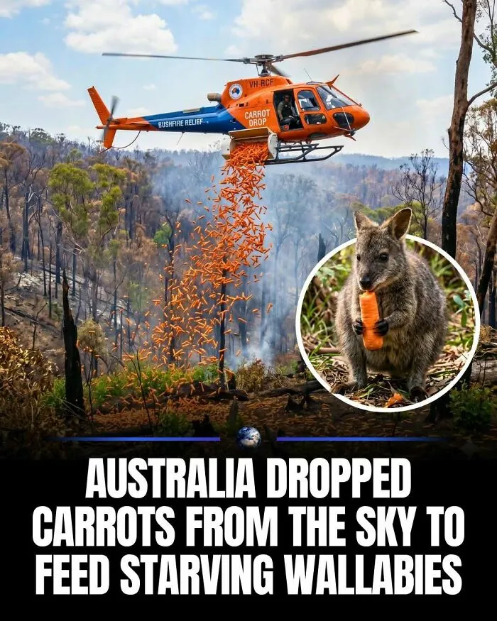 97 Amazing Facts About Our World To Keep You Busy For A Few Minutes