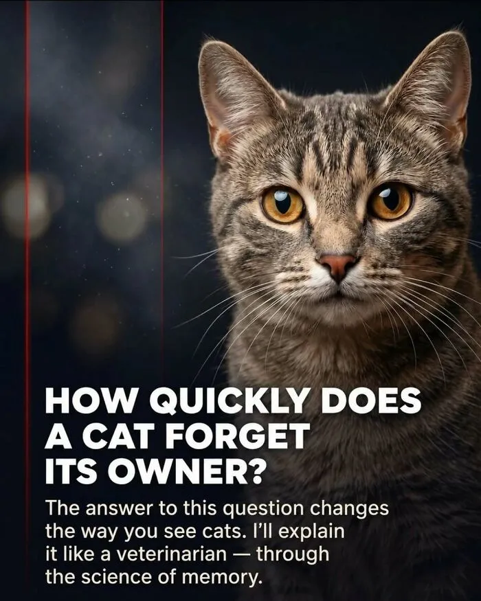 “Stands Like A Human”: 35 Surprising Facts And Stories About Animals That Might Teach You Something New