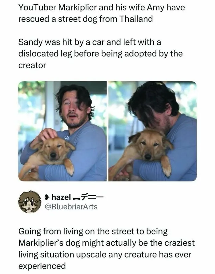 56 Of The Funniest Pop Culture Posts You Can Pass Around For Instant Good Vibes
