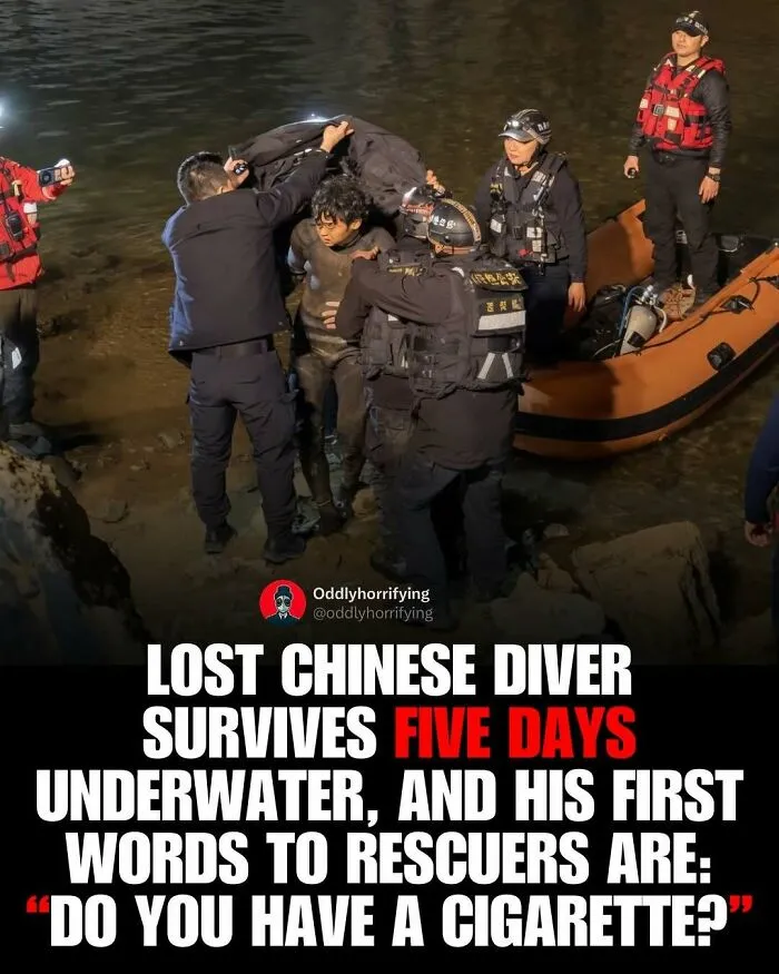 40 Unsettling True Stories From "Oddly Horrifying" That Show How Dark The Real World Can Be (New Pics)