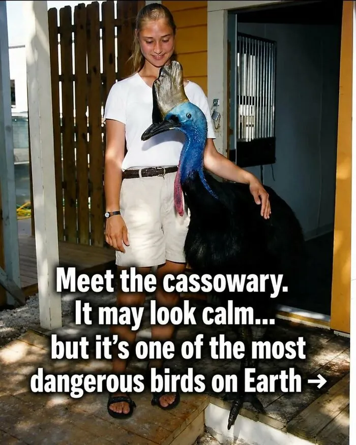 “Stands Like A Human”: 35 Surprising Facts And Stories About Animals That Might Teach You Something New