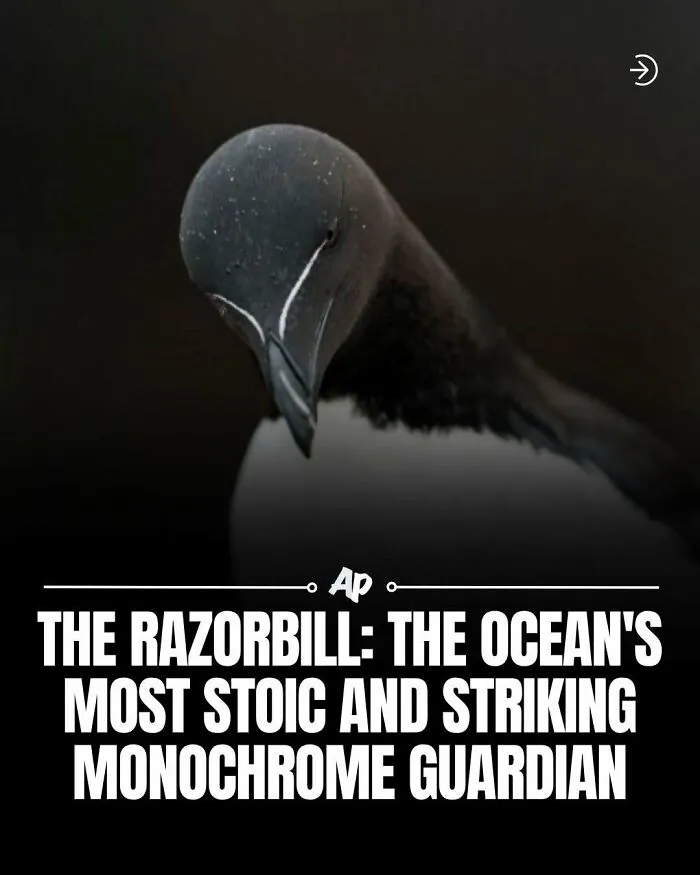 63 Incredible Facts About Animals That May Make You Appreciate Nature More