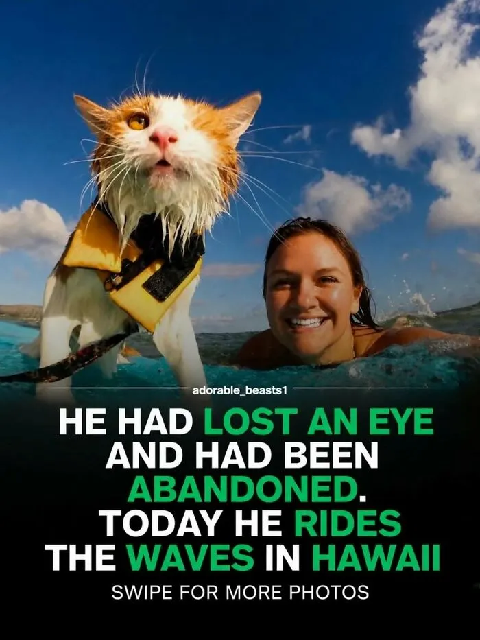 “Stands Like A Human”: 35 Surprising Facts And Stories About Animals That Might Teach You Something New