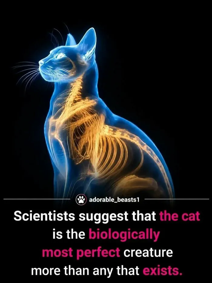 “Stands Like A Human”: 35 Surprising Facts And Stories About Animals That Might Teach You Something New