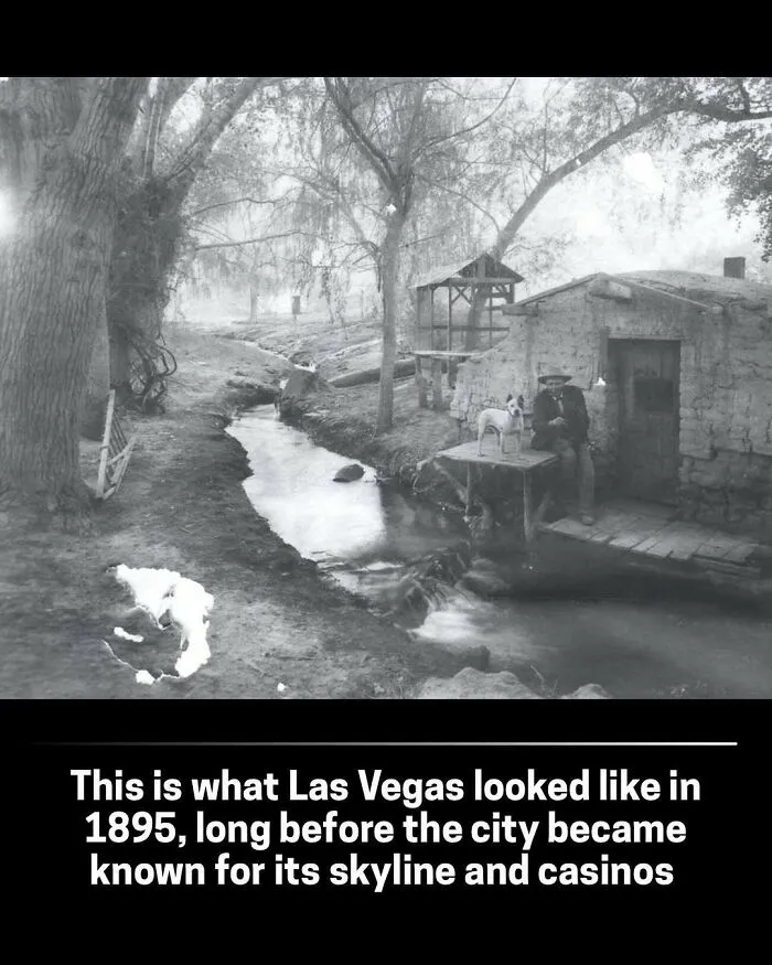 “Washing Her Mine-Working Husband”: 89 Fascinating Pics That Show A Different Side Of History 