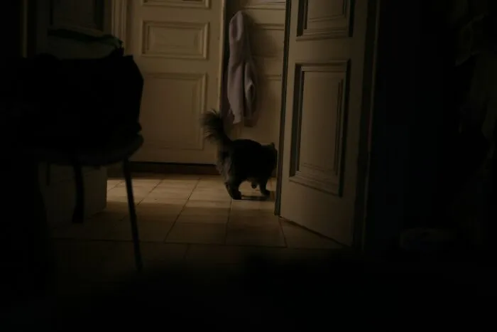 Waking Us Up In The Middle Of The Night