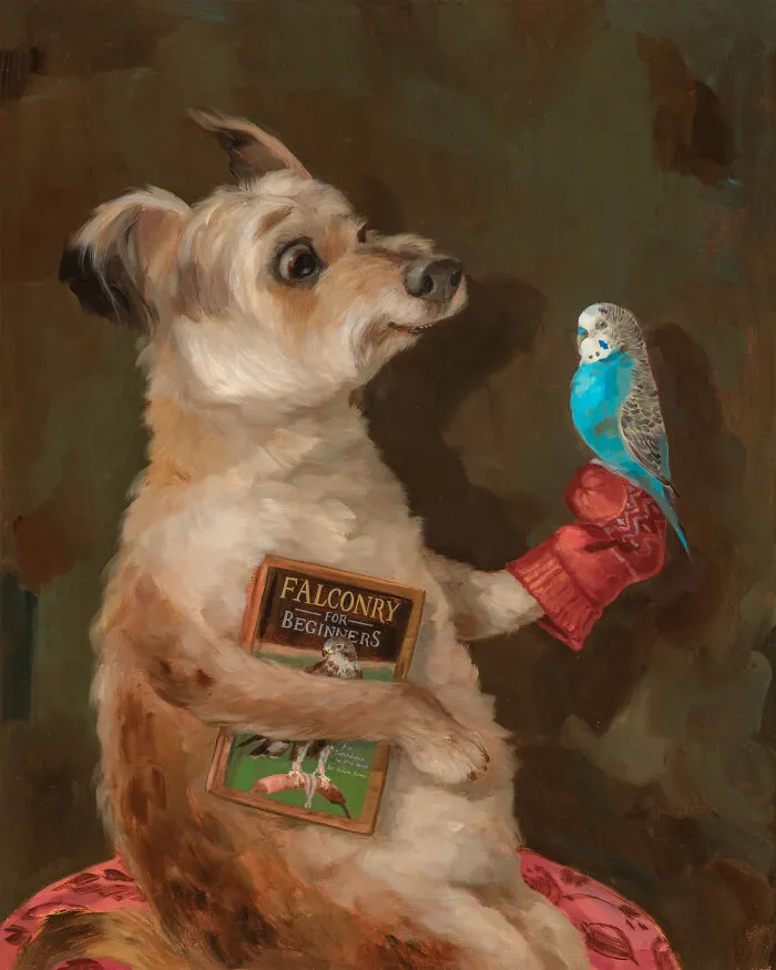 “Falconry For Beginners”