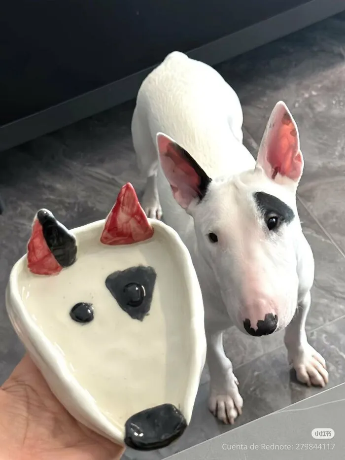 64 Wholesome Animal Photos Shared By This Page That Might Make You Smile Without Even Trying